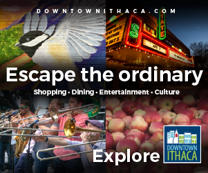 https://www.downtownithaca.com/visit-downtown/